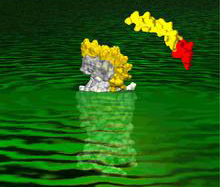 03782research-gpcr