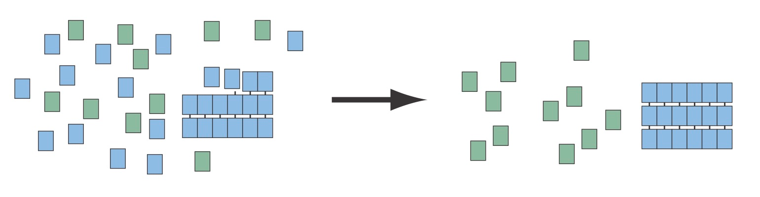 Scenario 2 for the amplification of chirality: A seed of isotactic amyloid acts as a template for the further production of itself from a racemic pool of amino acid monomers.